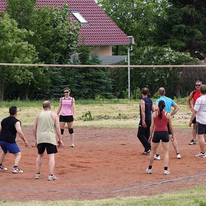 Sektion Volleyball